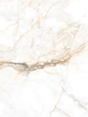 Glancētas flīzes GOLDEN VENICE MARBLE, 60x60 cm, LE